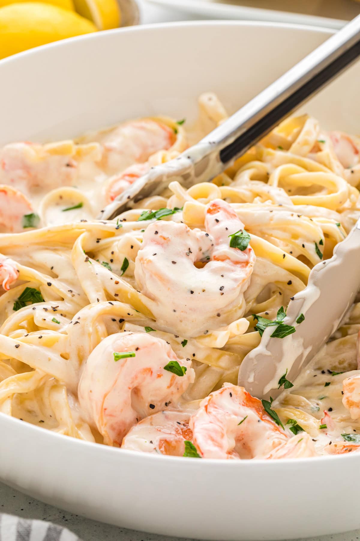Creamy Fettuccine Alfredo with Shrimp