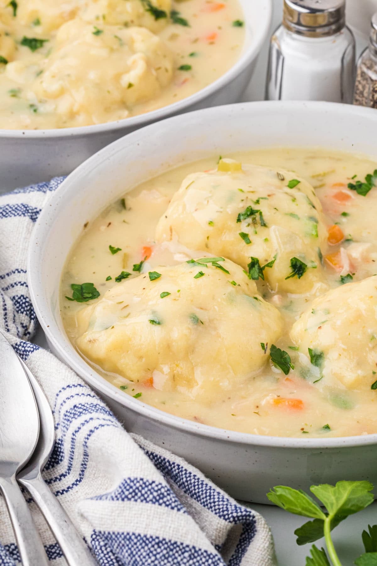Homemade Chicken and Dumpling Soup
