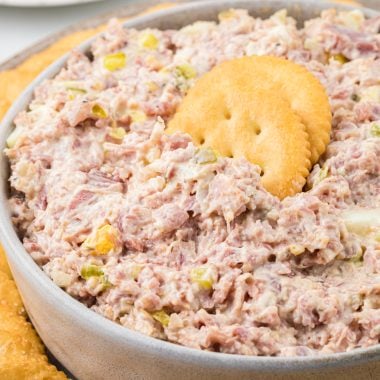 In this image, the ham salad is in a bowl in the center of the image with Ritz crackers plated around in and two crackers in the center of the dip.