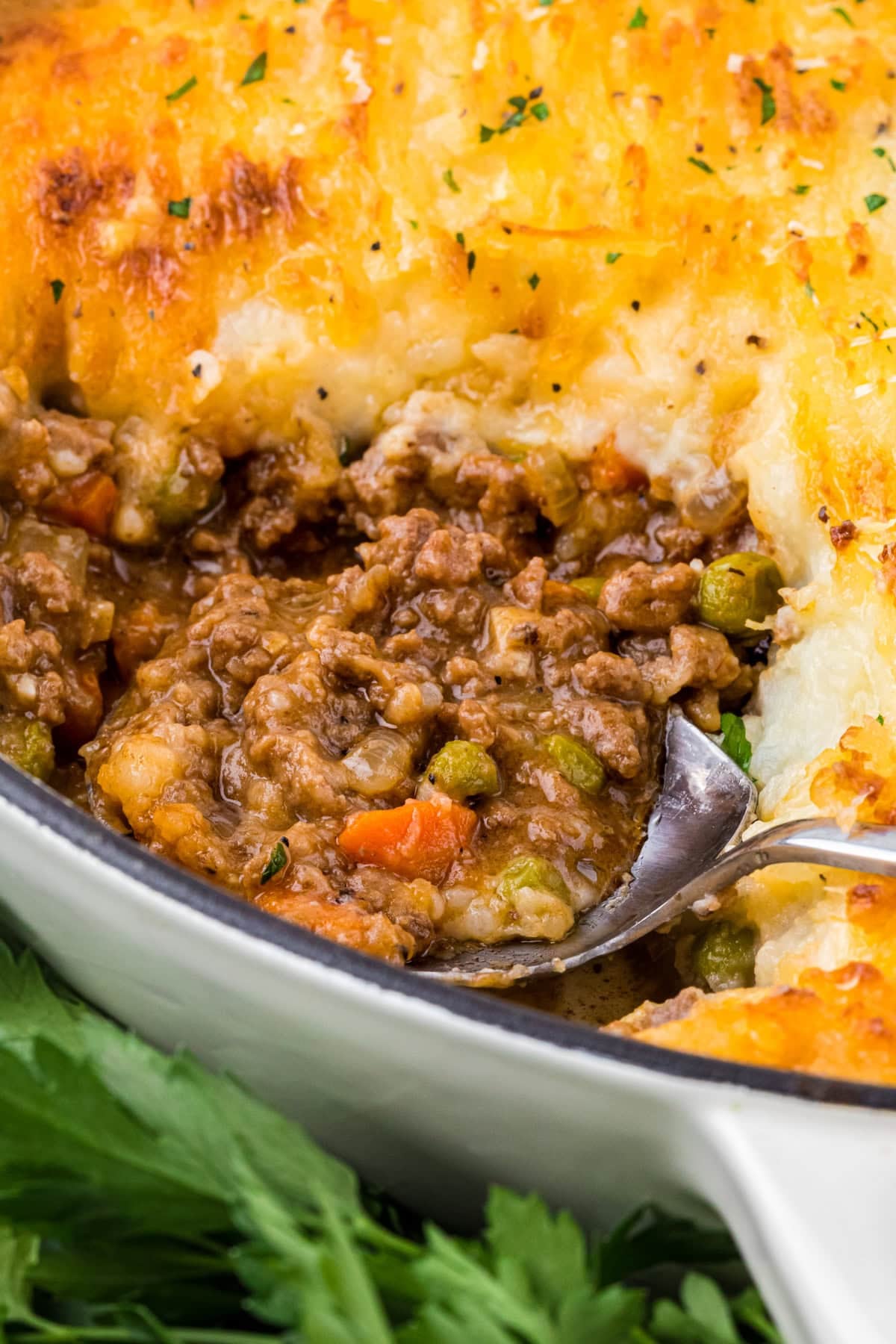 Cottage Pie with Cheese