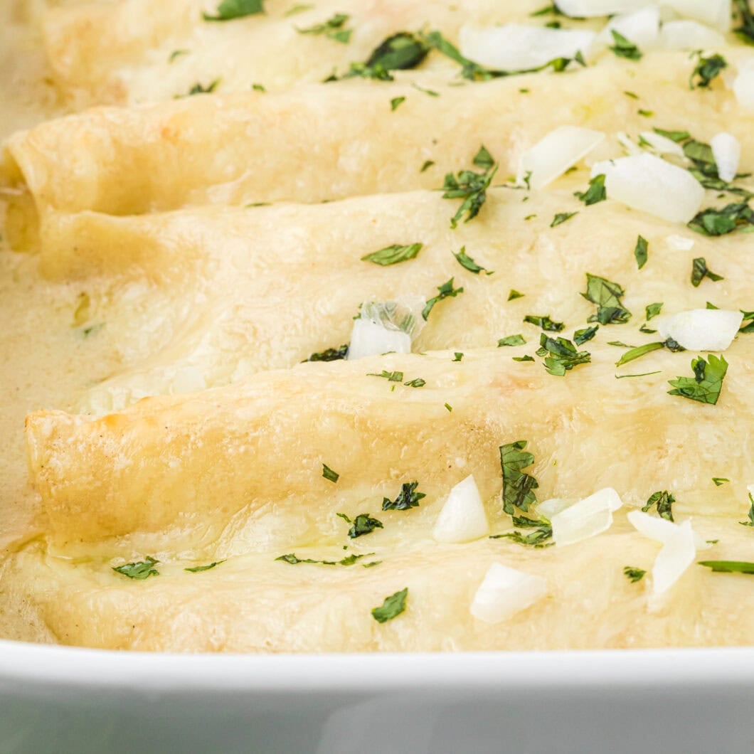 Creamy Chicken Enchiladas with Sour Cream