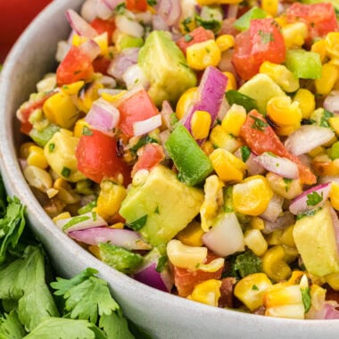 In this image, the salsa is mixed and ready to serve in a serving bowl in the center of the image.